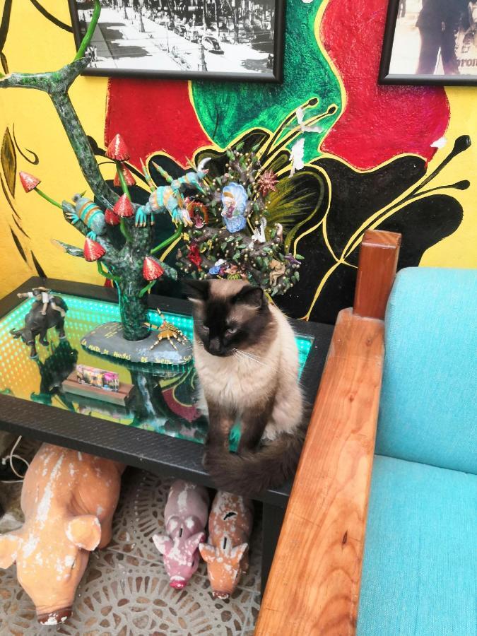 Hostal Oaxaca Magic Zewnętrze zdjęcie