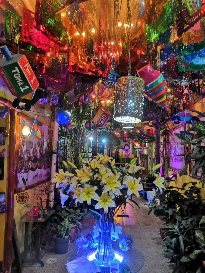 Hostal Oaxaca Magic Zewnętrze zdjęcie