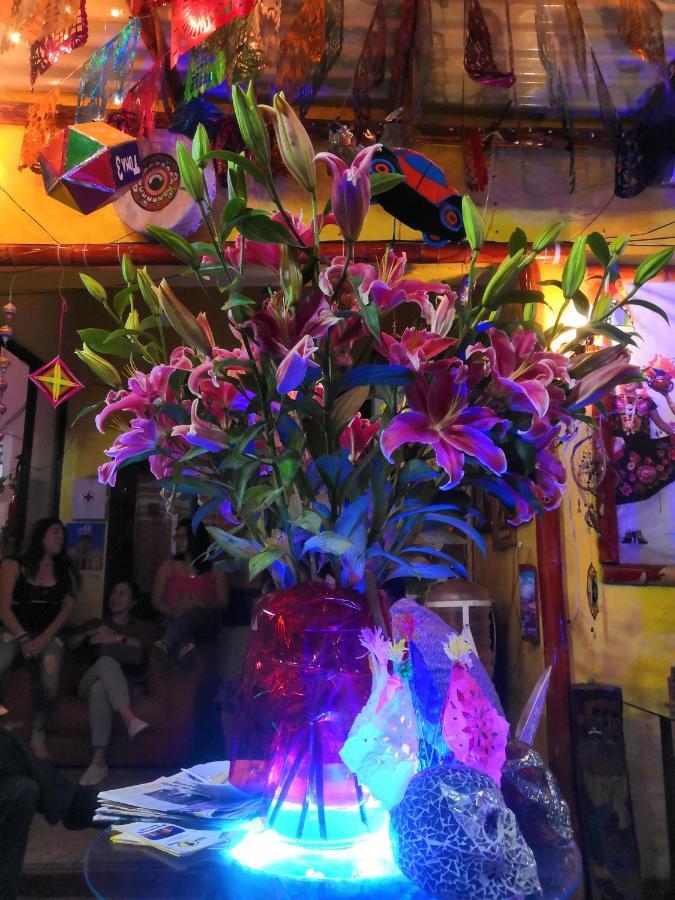 Hostal Oaxaca Magic Zewnętrze zdjęcie