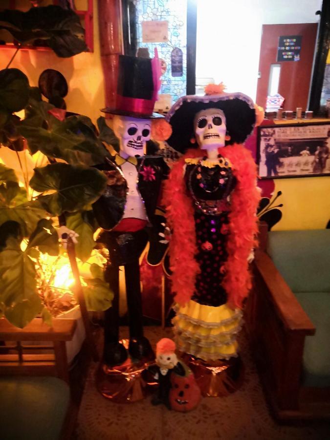 Hostal Oaxaca Magic Zewnętrze zdjęcie